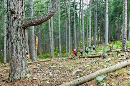 GR 20 Nord