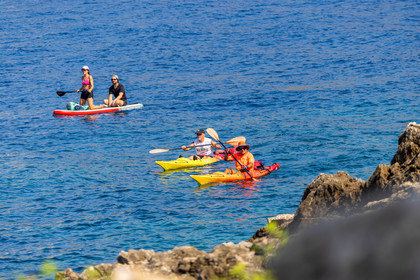 Paddle
