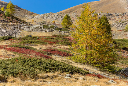 Col de la Moutière