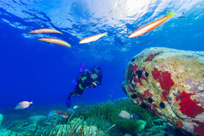 Plongée-sous-marine