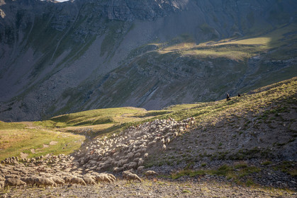 Col de la Bonette