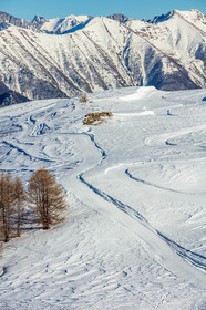 Auron