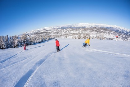Snowboard
