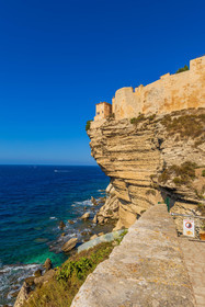 Bonifacio