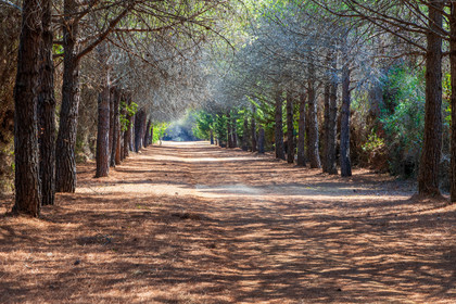 Lérins Sainte-Marguerite 2023