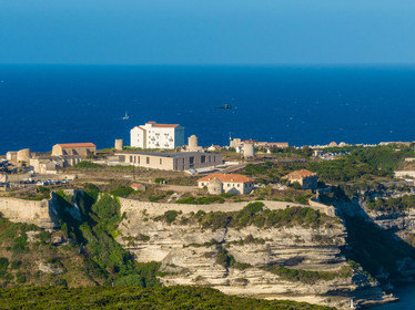 Bonifacio
