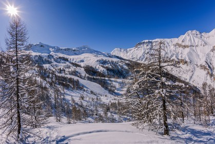 Auron