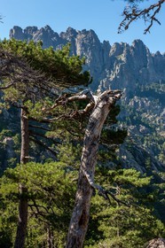 Bavella