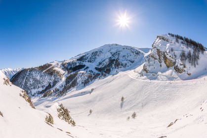 Auron