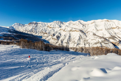 Auron