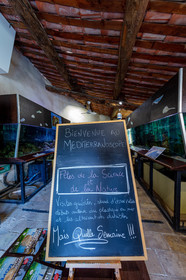 Lérins, Sainte-Marguerite