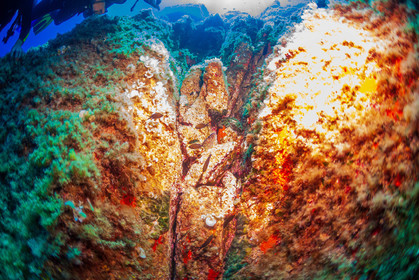 Plongée-sous-marine