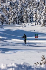 Ski de fond