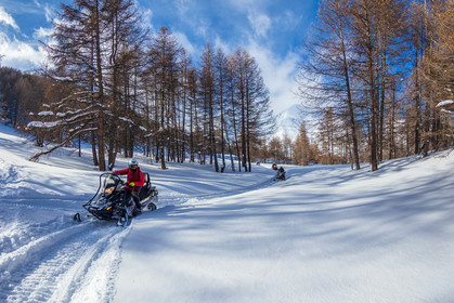 Skidoo