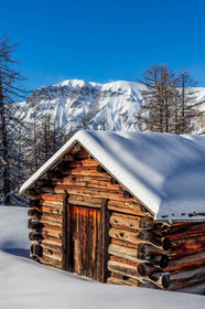 Auron