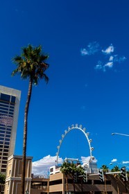 Las Vegas