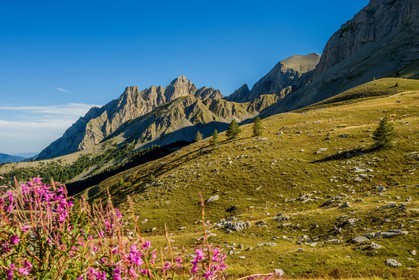 Col des Champs