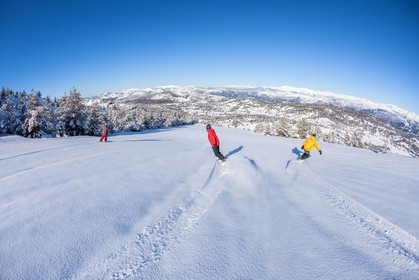 Snowboard