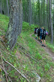 Rando Vtt Lacs de Lignin