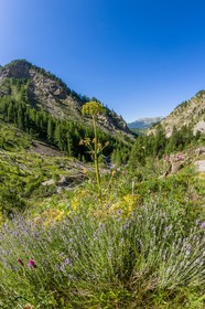 Cascade du Pich