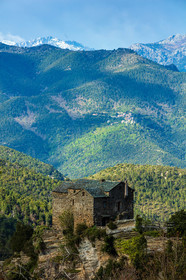 Morosaglia