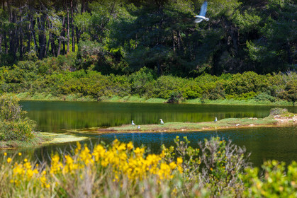 Lérins Sainte-Marguerite