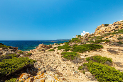 Tonnara