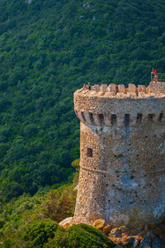 Tour de Capu di Muru