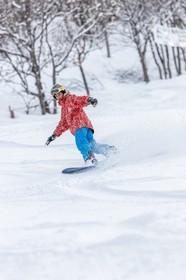 Snowboard
