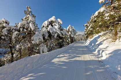 Route enneigée