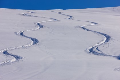 Auron