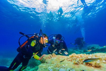 Plongée-sous-marine