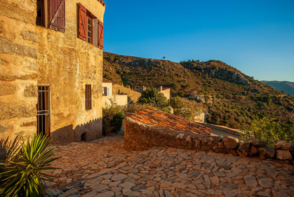 Pigna
