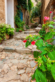Pigna