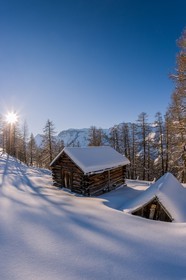 Auron