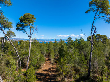 Lérins Sainte-Marguerite 2024