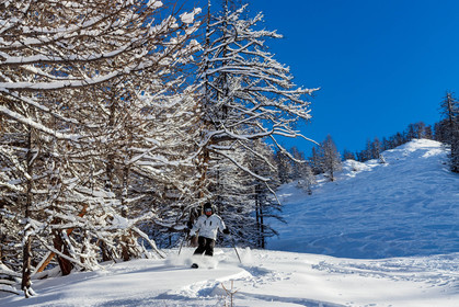 Auron