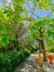 Sophia-Antipolis