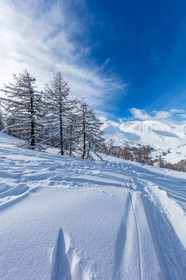 La Foux-d'Allos