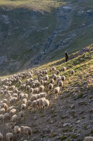 Col de la Bonette