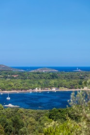 Benedettu