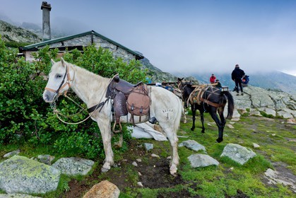 GR 20 Nord