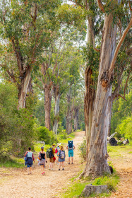 Lérins Sainte-Marguerite
