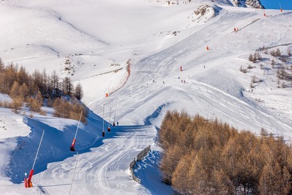 Auron