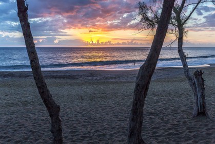 Ile de La Réunion