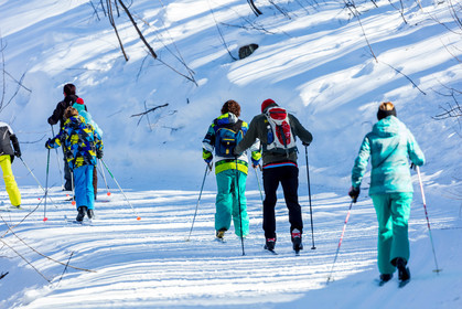 Ski-de-fond