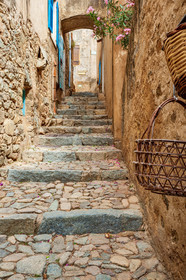 Pigna