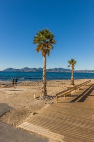 Cannes
