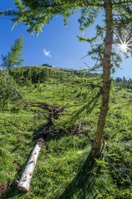 Mercantour