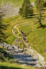 Col de la Petite Cayolle